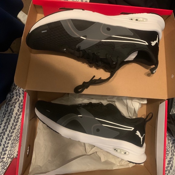 Brand new low top pumas! - Picture 1 of 3